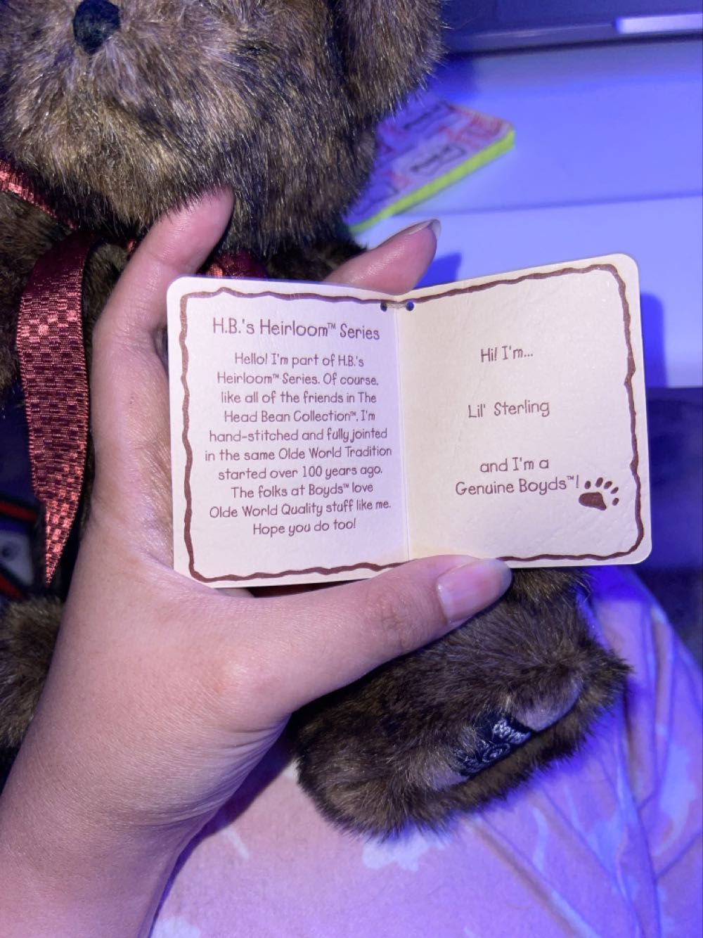 Lil’ Sterling  plush collectible - Main Image 2