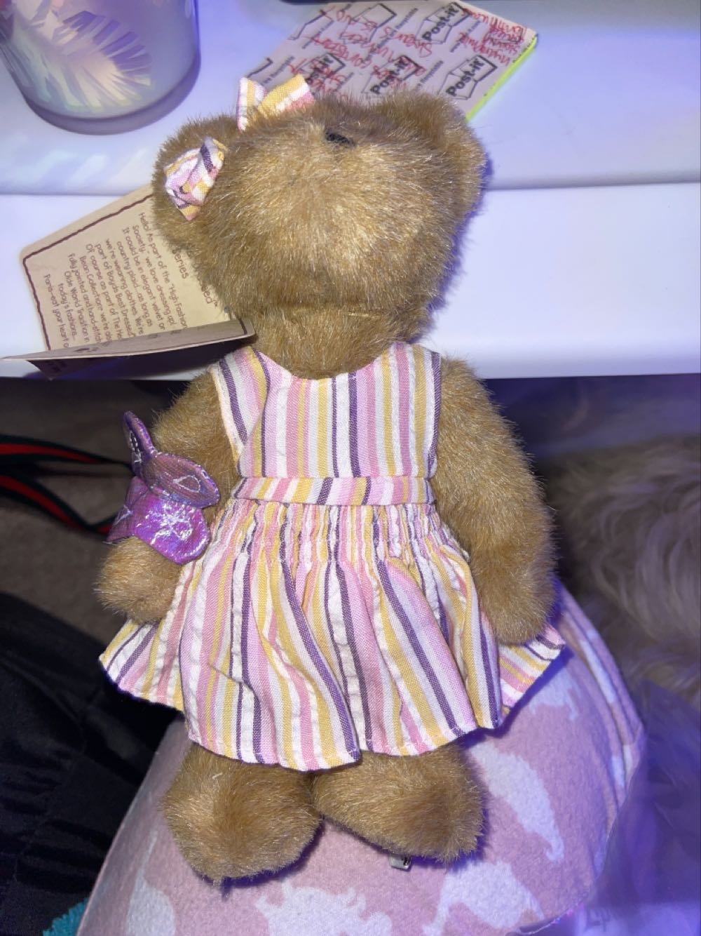 Champion Beanie Buddy (Argentina)