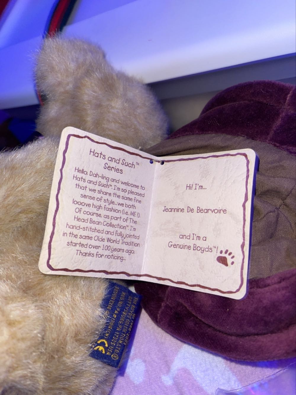 Jeannie De Bearvoire  plush collectible - Main Image 2