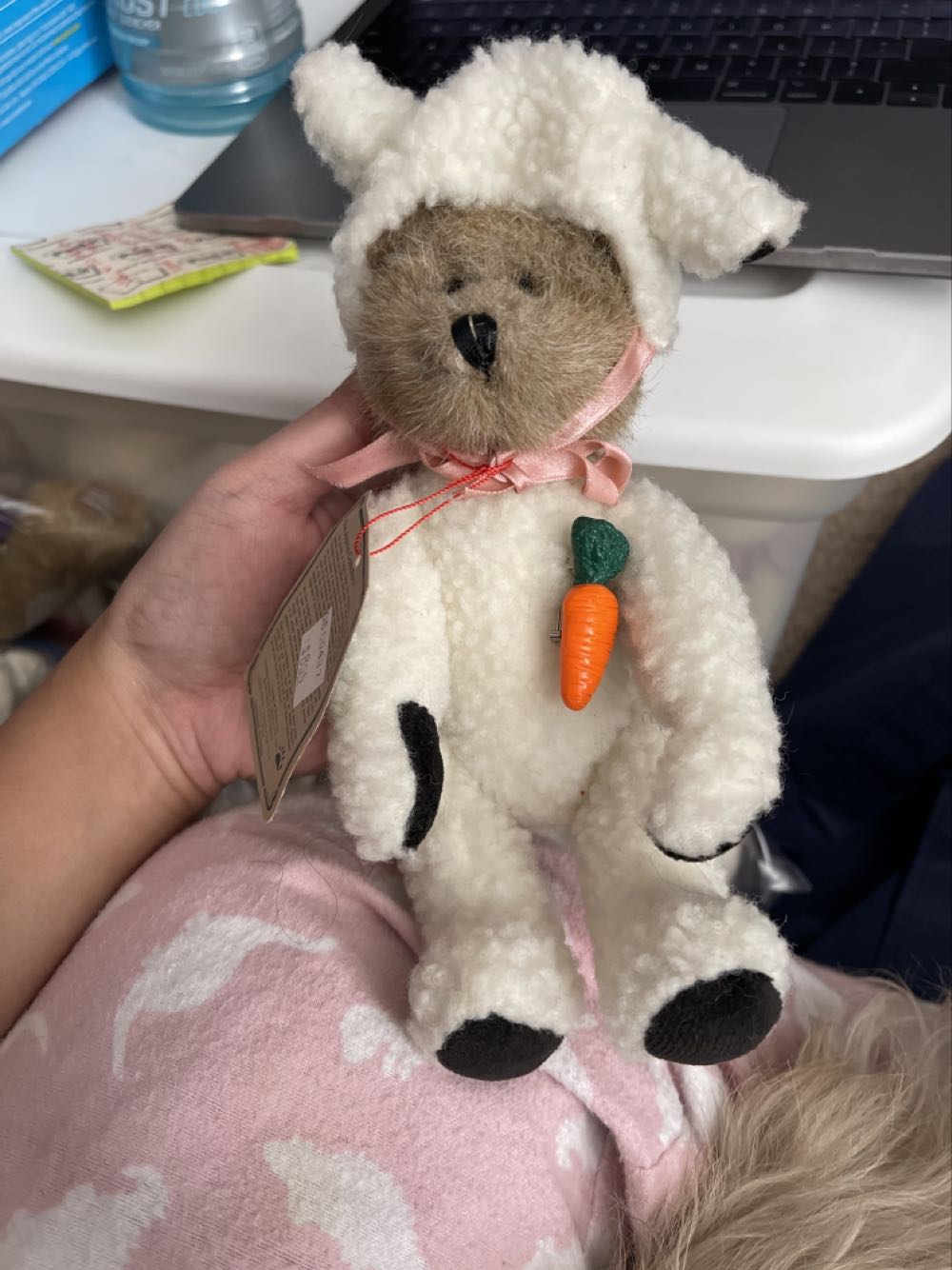 New York Rose The Bear