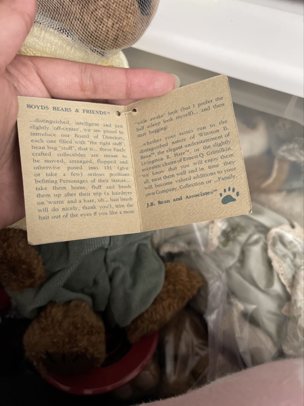 SUNFLOWER NO NAME With Accessories  plush collectible - Main Image 2