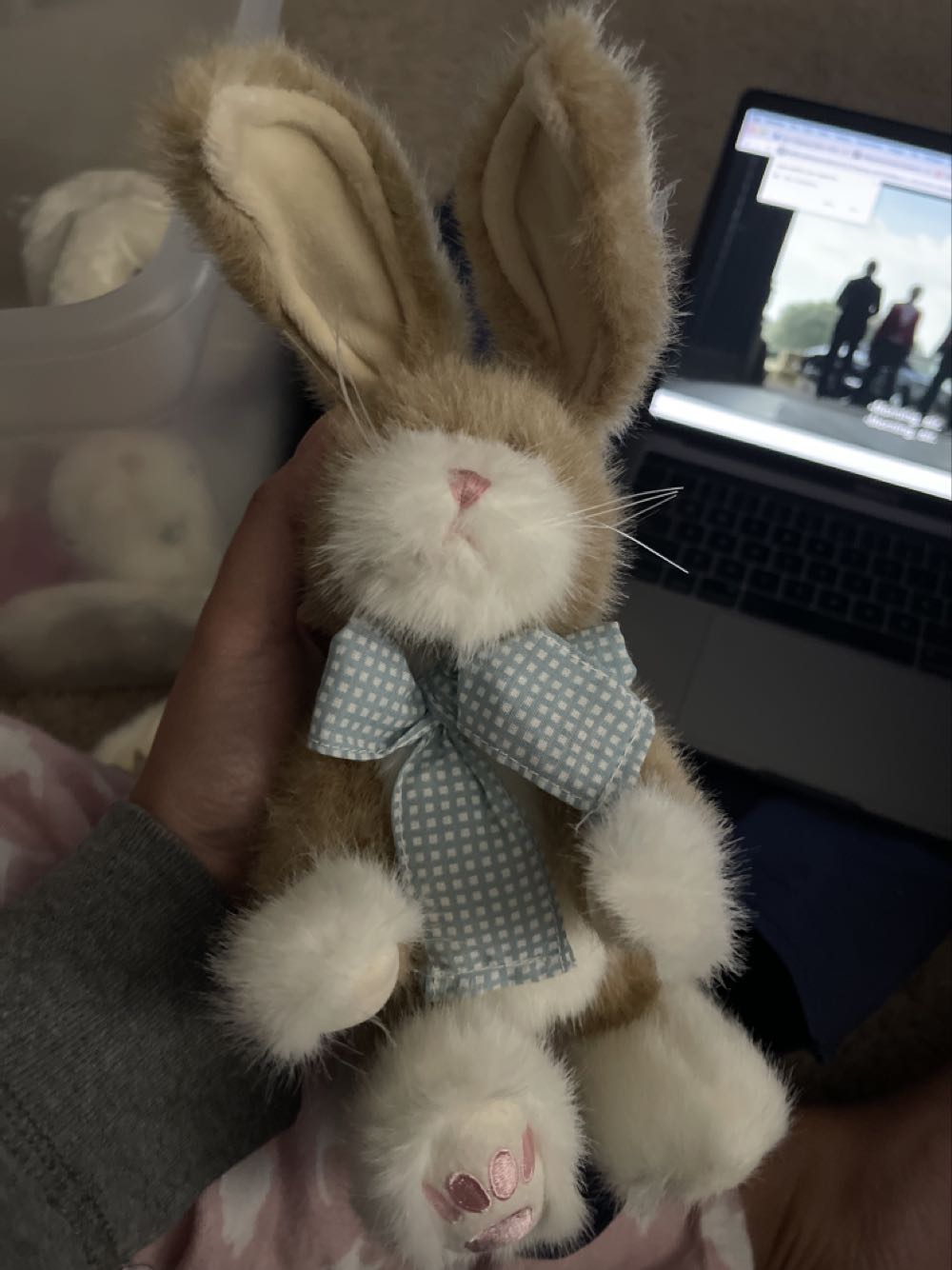 Squishmallow Drake Is Drakula Size 8” Pillow Squooshems Kellytoy Squishmallows