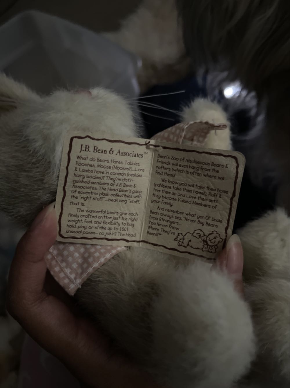 Polly Bunnytoes  plush collectible - Main Image 2