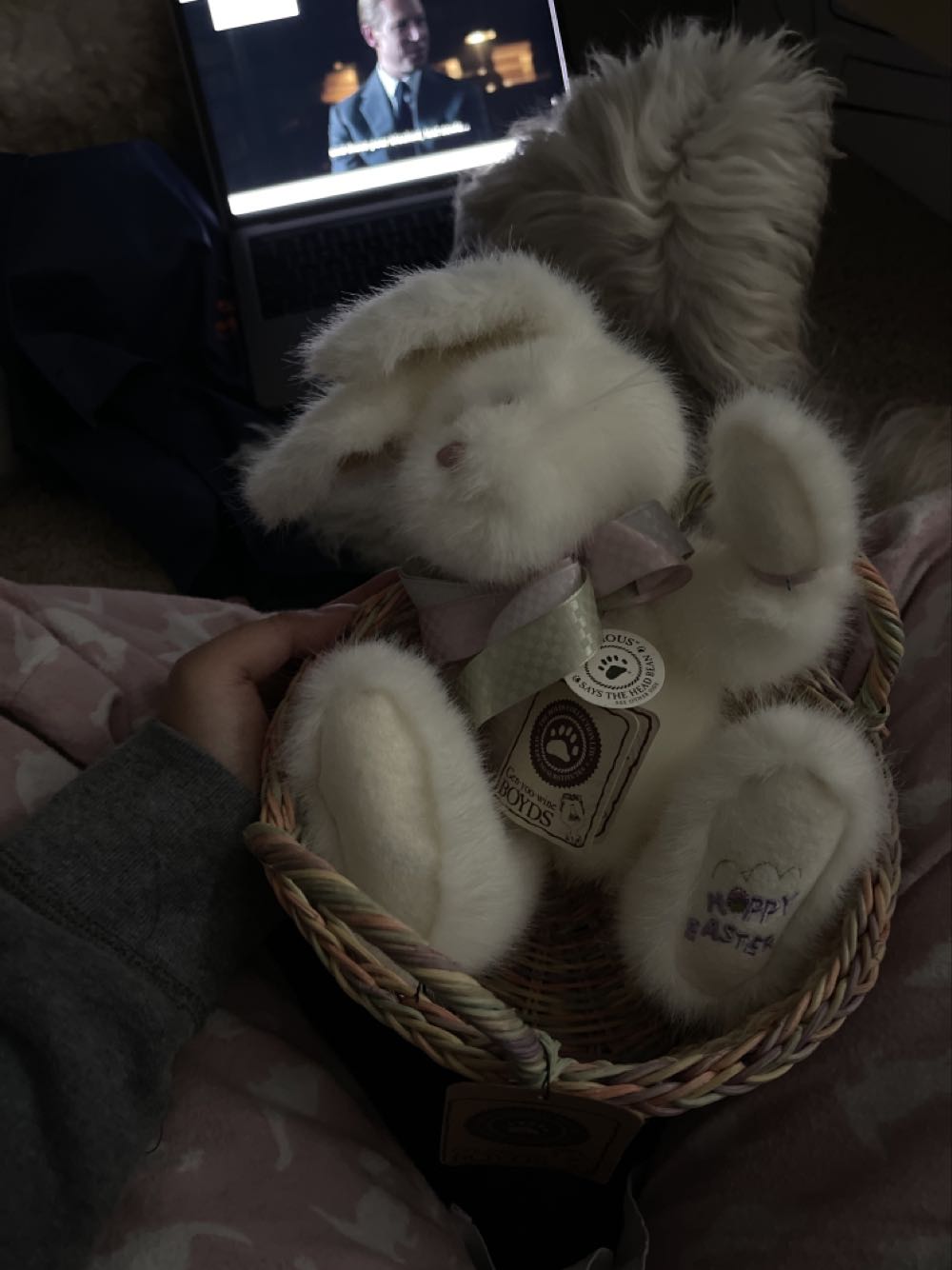 New York Rose The Bear