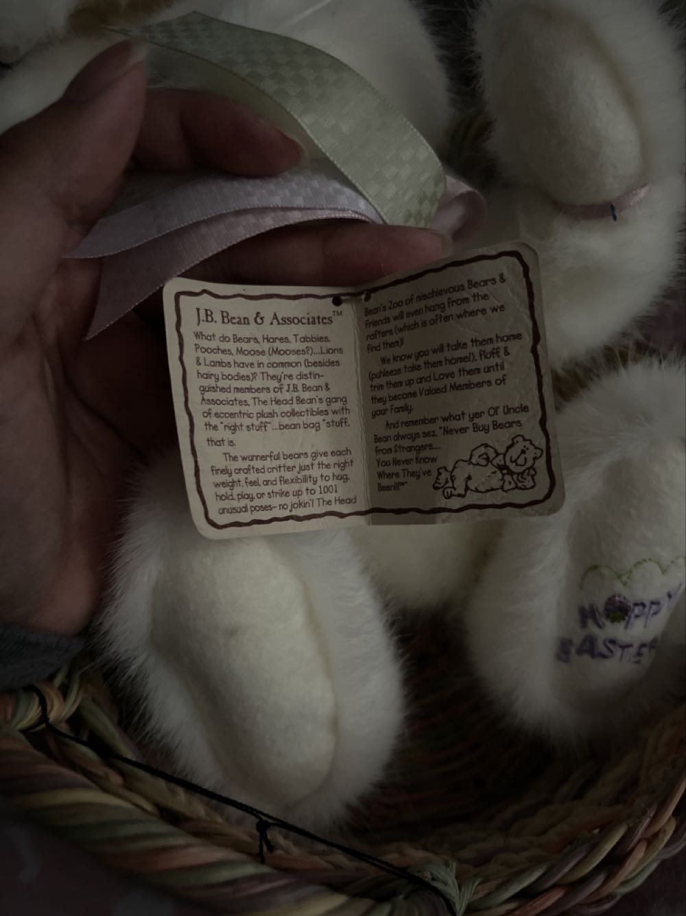 Allison B. Hopplebuns  plush collectible - Main Image 2