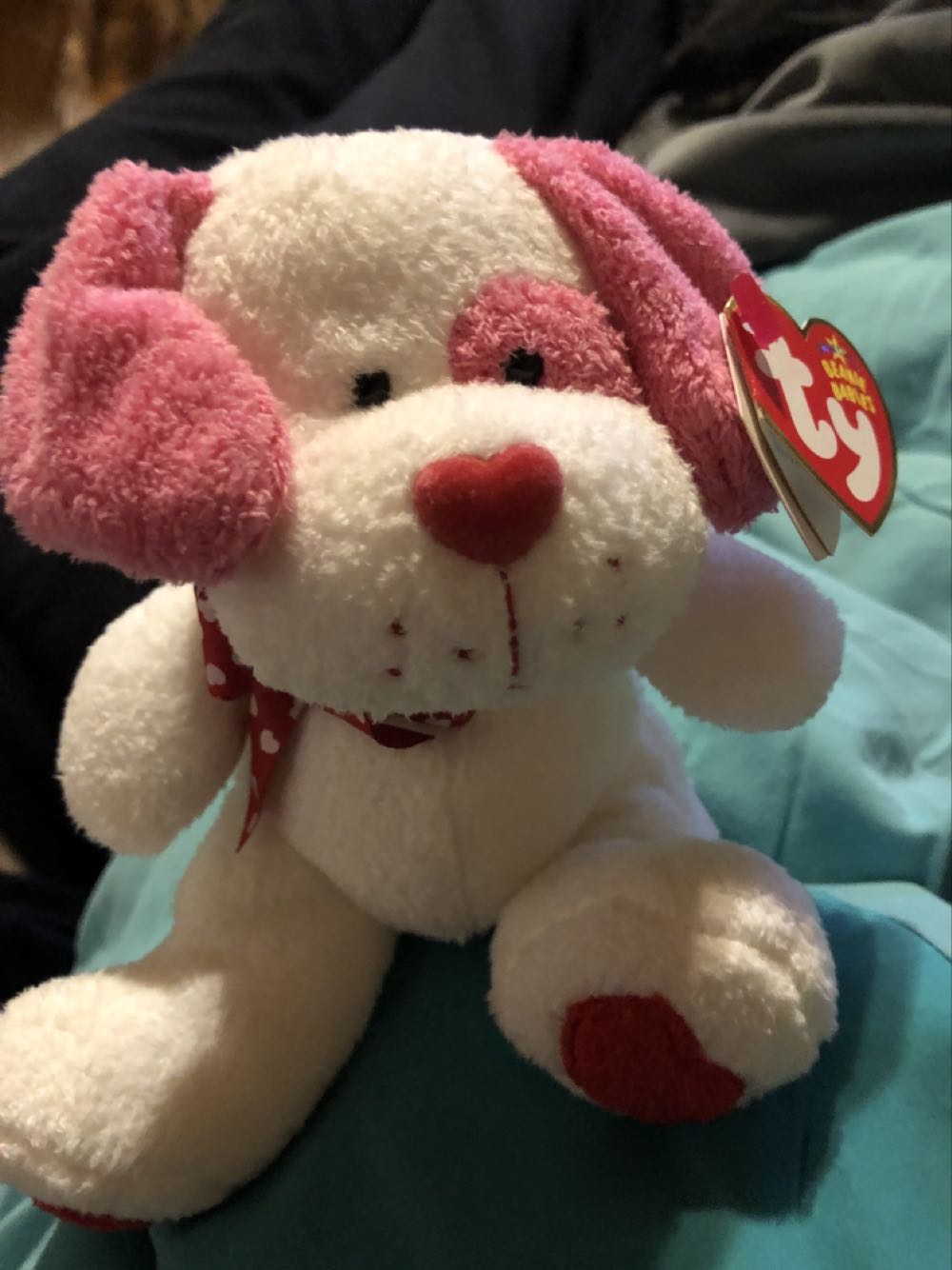 Teddy The Bear (Teal, Old Face)