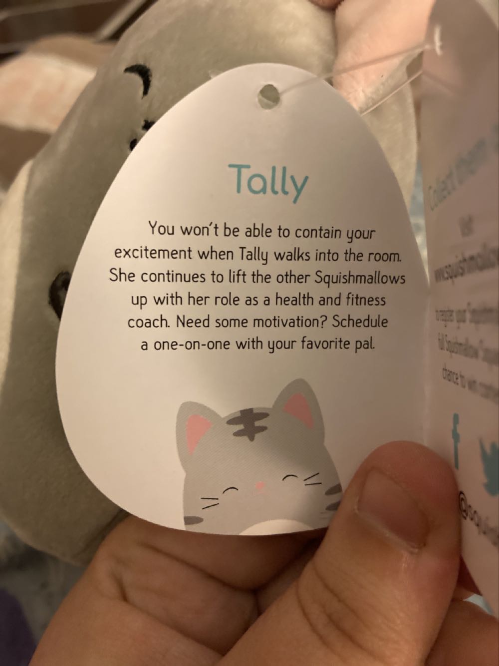 Tally 8” or smaller  plush collectible [Barcode 734689520381] - Main Image 2