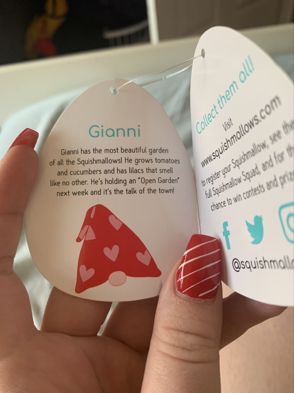 Valentines Gnome Gianni 5”  plush collectible [Barcode 734689451241] - Main Image 3