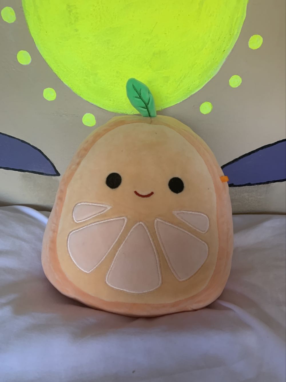 Champion - Argentina (Buddy)