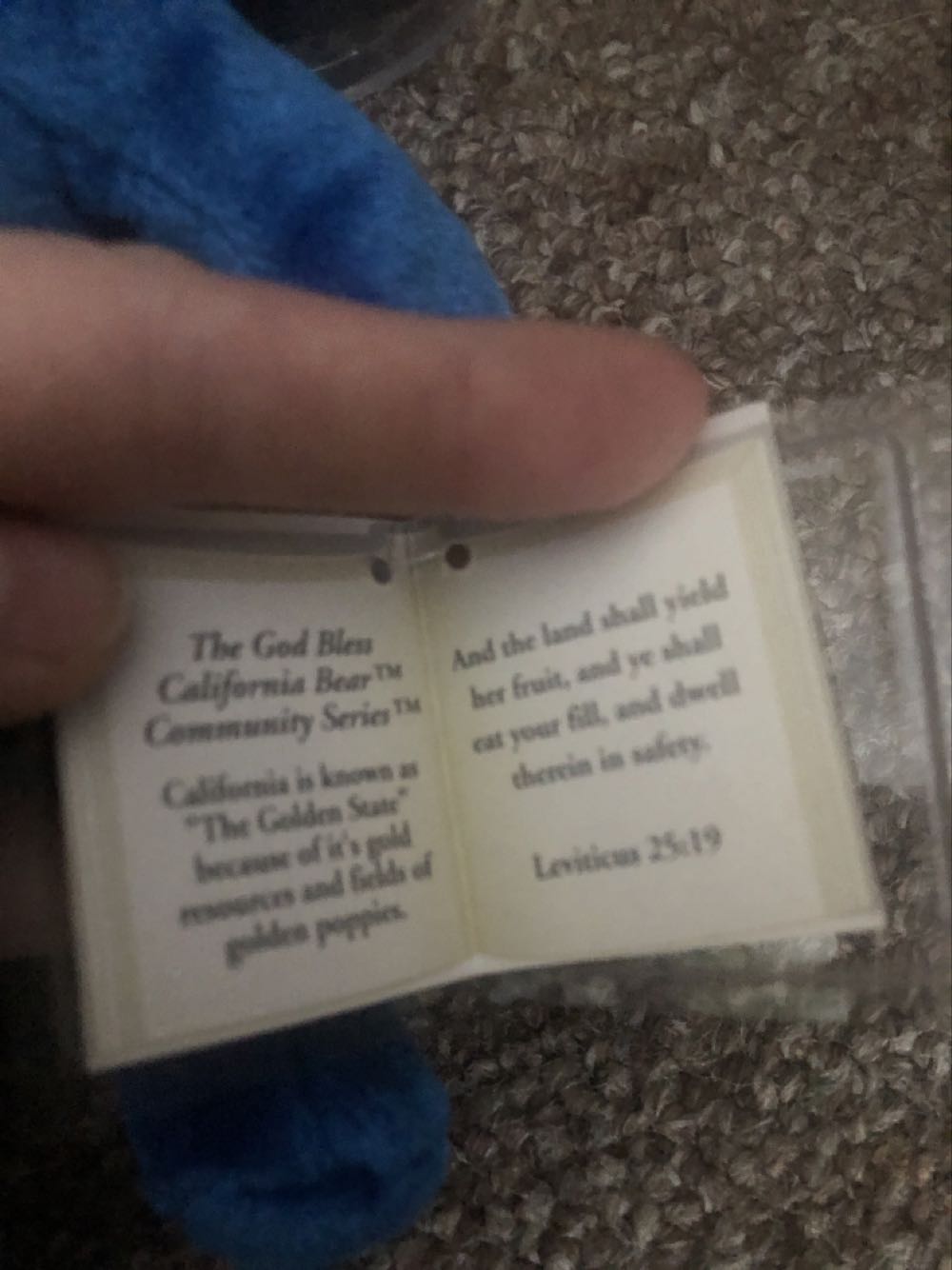 Holy Bears California  plush collectible [Barcode 793028716007] - Main Image 2