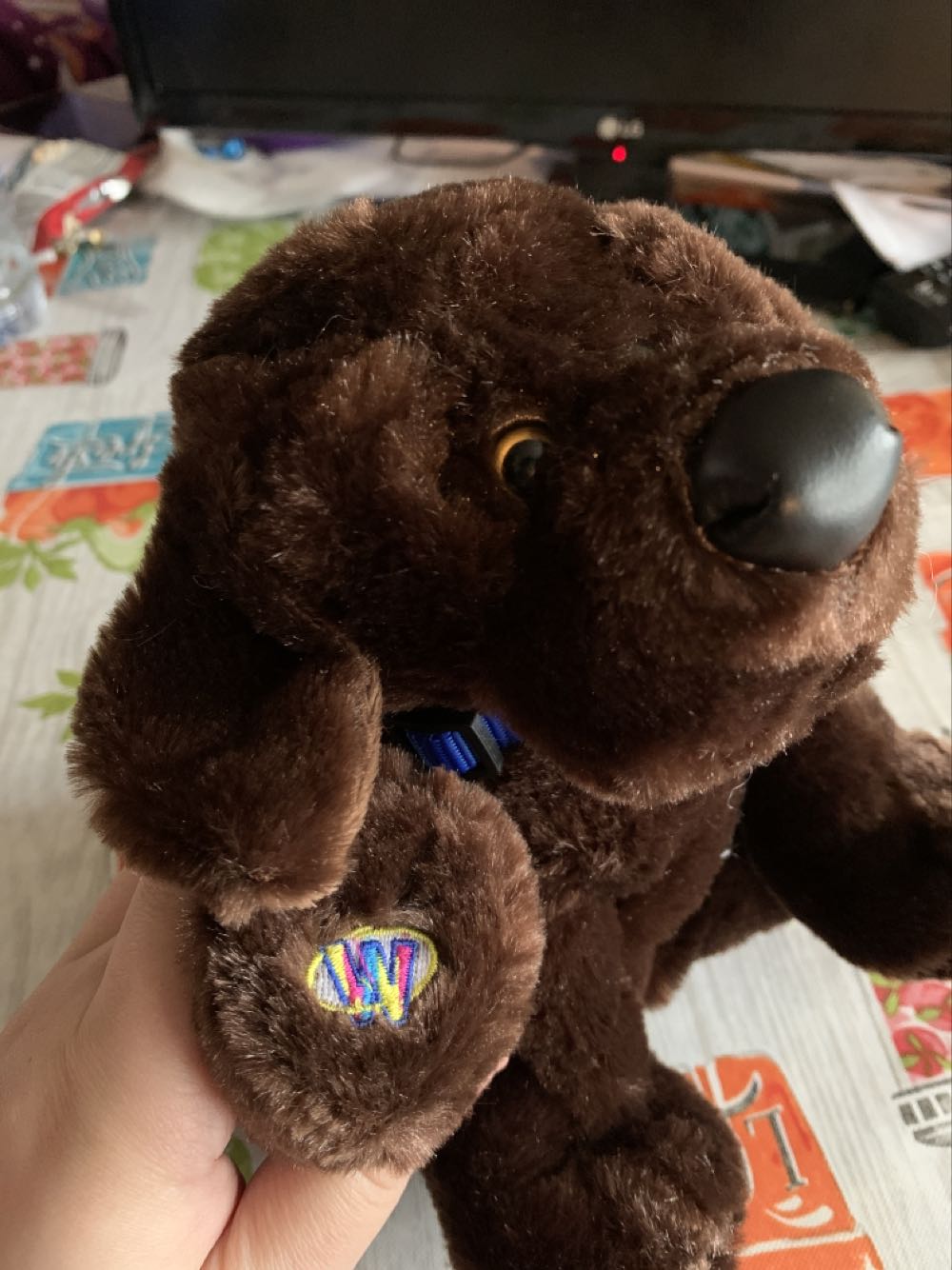 Webkinz Chocolate Lab  plush collectible - Main Image 2