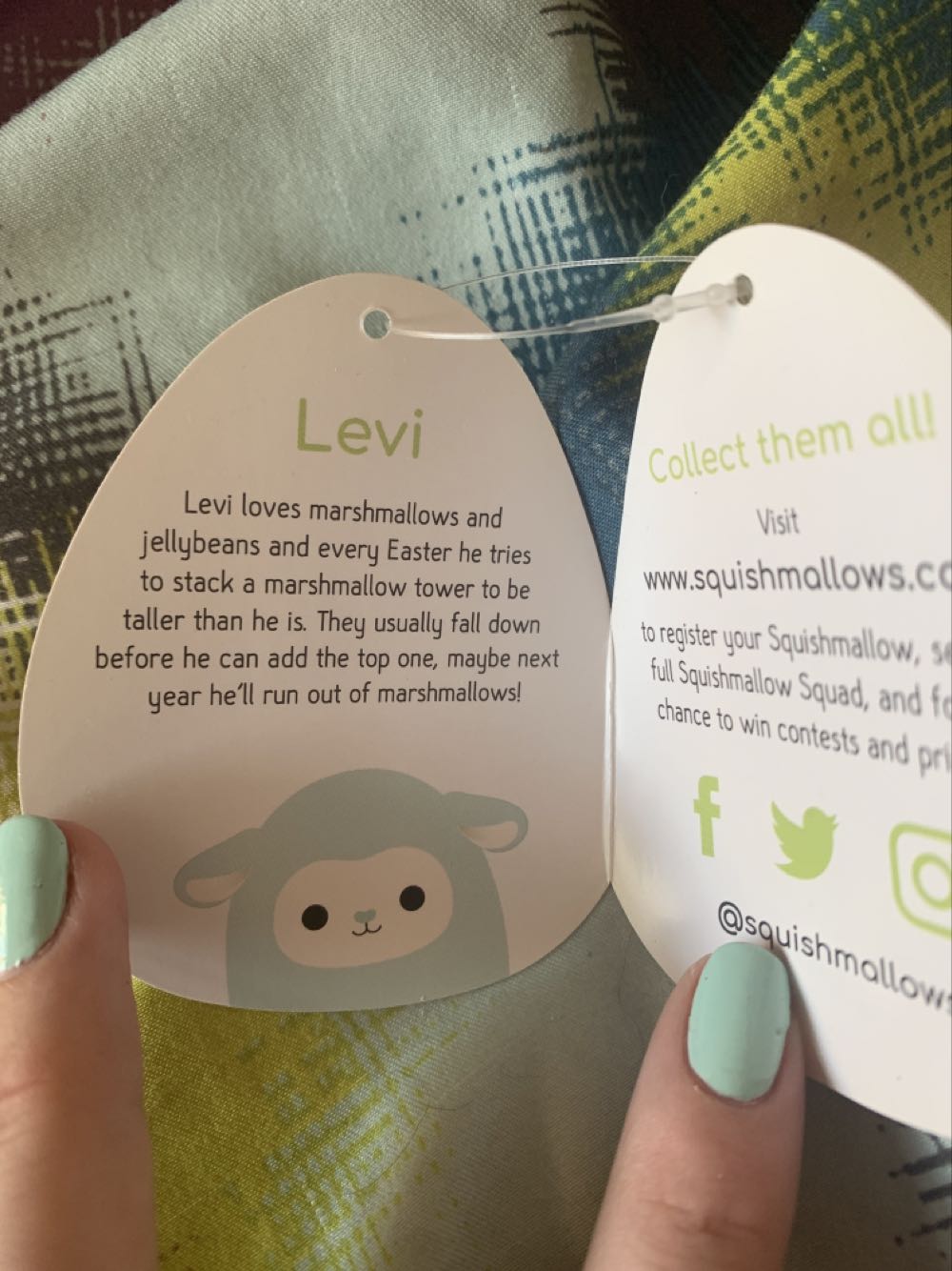 Levi The Lamb 8”  plush collectible [Barcode 734689850532] - Main Image 3