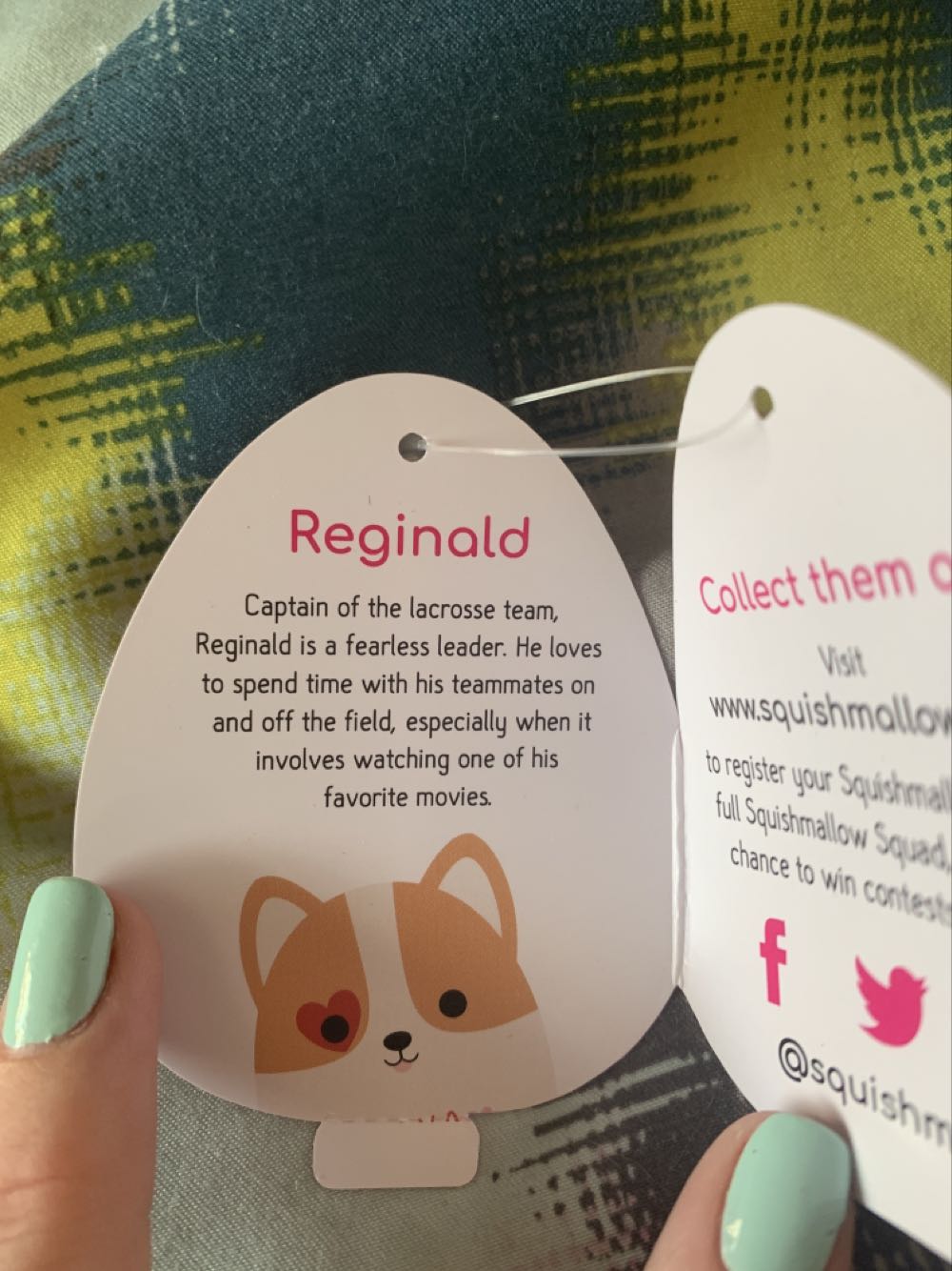 Reginald The Dog 5”  plush collectible [Barcode 734689724673] - Main Image 3