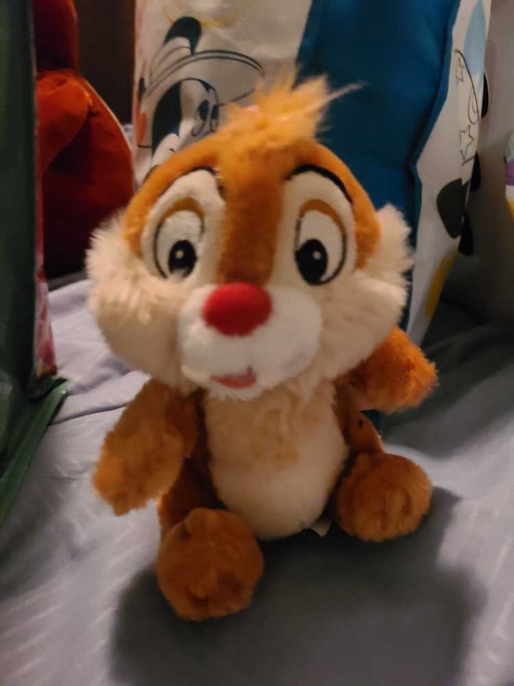 Nicklas T. Jodi Bear