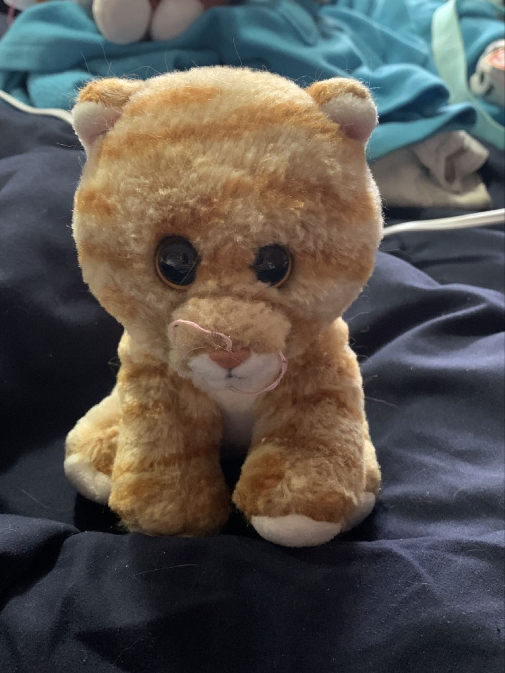 Chip - Beaver - 8’