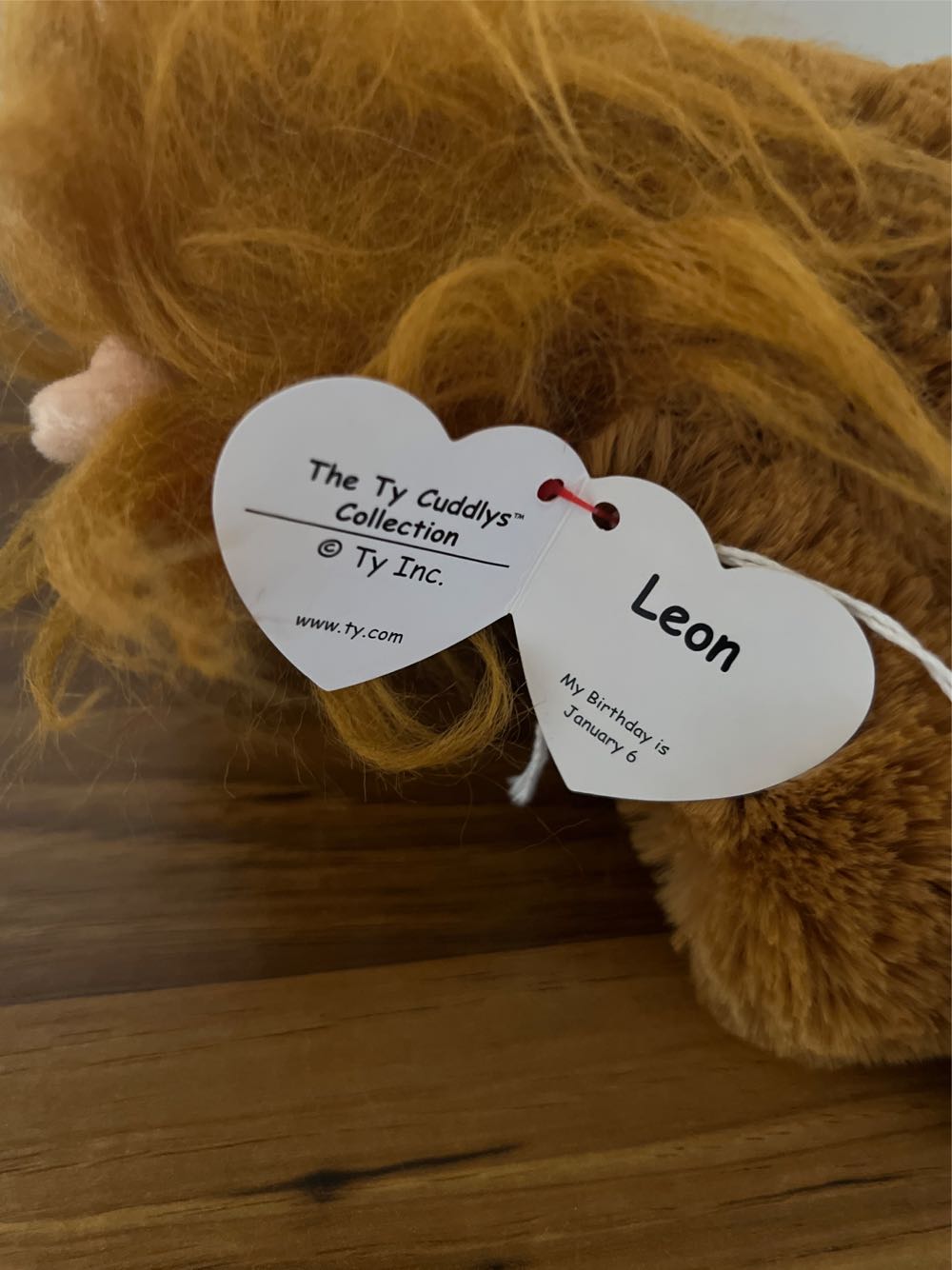 Ty Leon (Regular)  (Canada) plush collectible [Barcode 008421650248] - Main Image 4