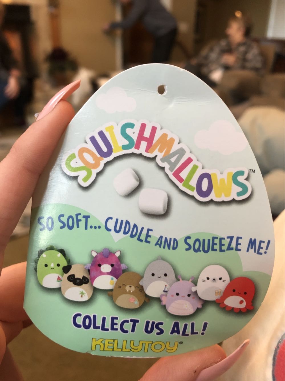 12” Pink Purple Charlotte Cat Squishmallows Plush Kitty Animal Pillow Gift  plush collectible [Barcode 734689921966] - Main Image 2