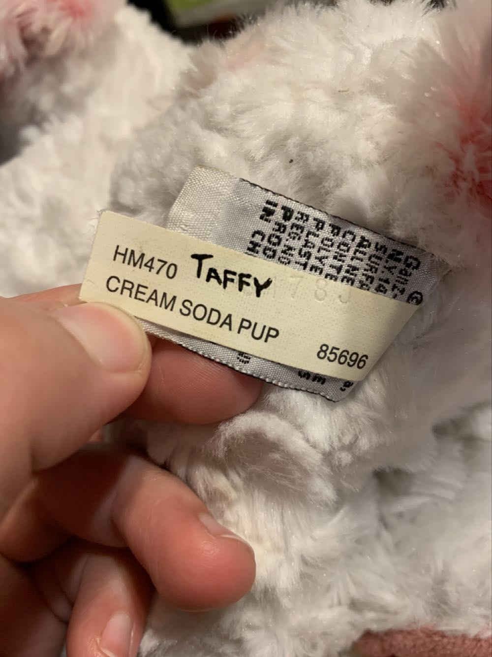 Webkinz Cream Soda Pup  plush collectible - Main Image 3