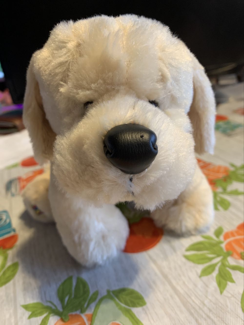 Forget Me Not American Greetings