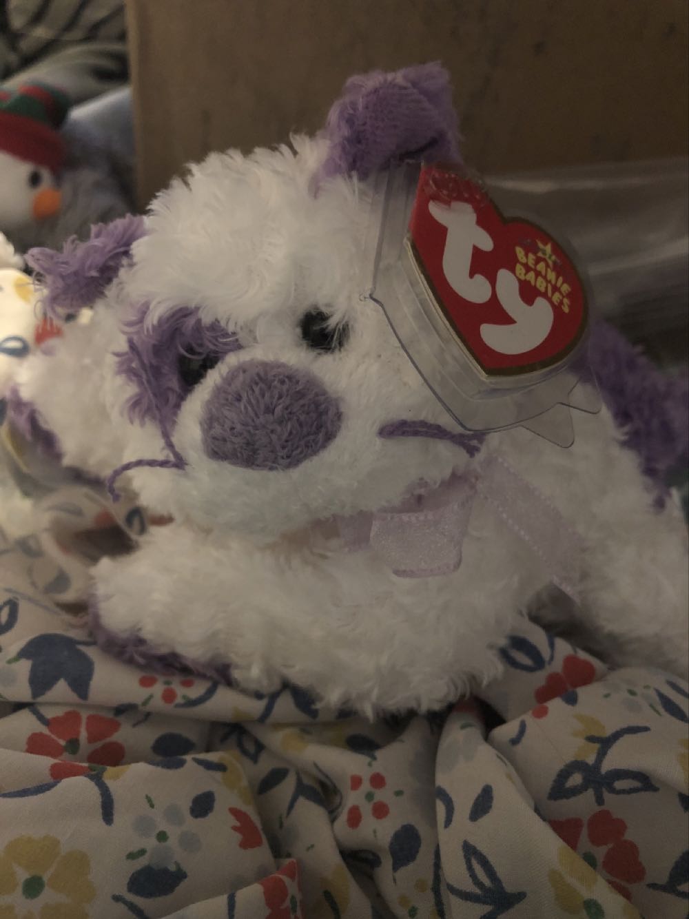 Violetta The Cat (Purple)  plush collectible [Barcode 008421403608] - Main Image 1