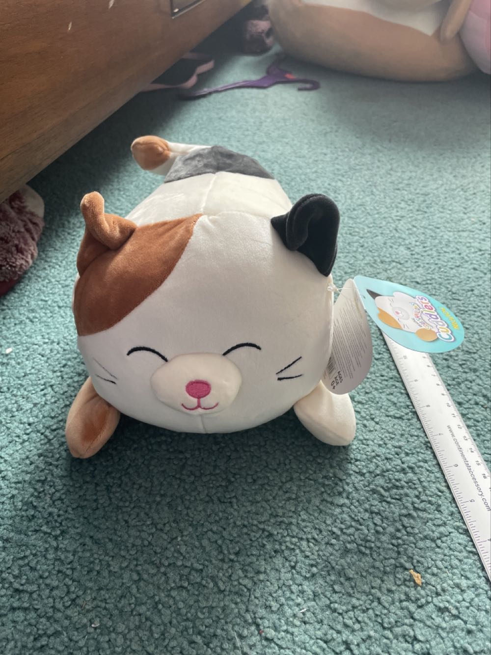 2002 Signature Bear Seven cards of fortune