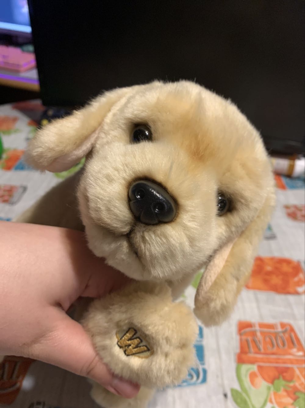 Webkinz Signature Yellow Labrador Retriever  plush collectible - Main Image 2