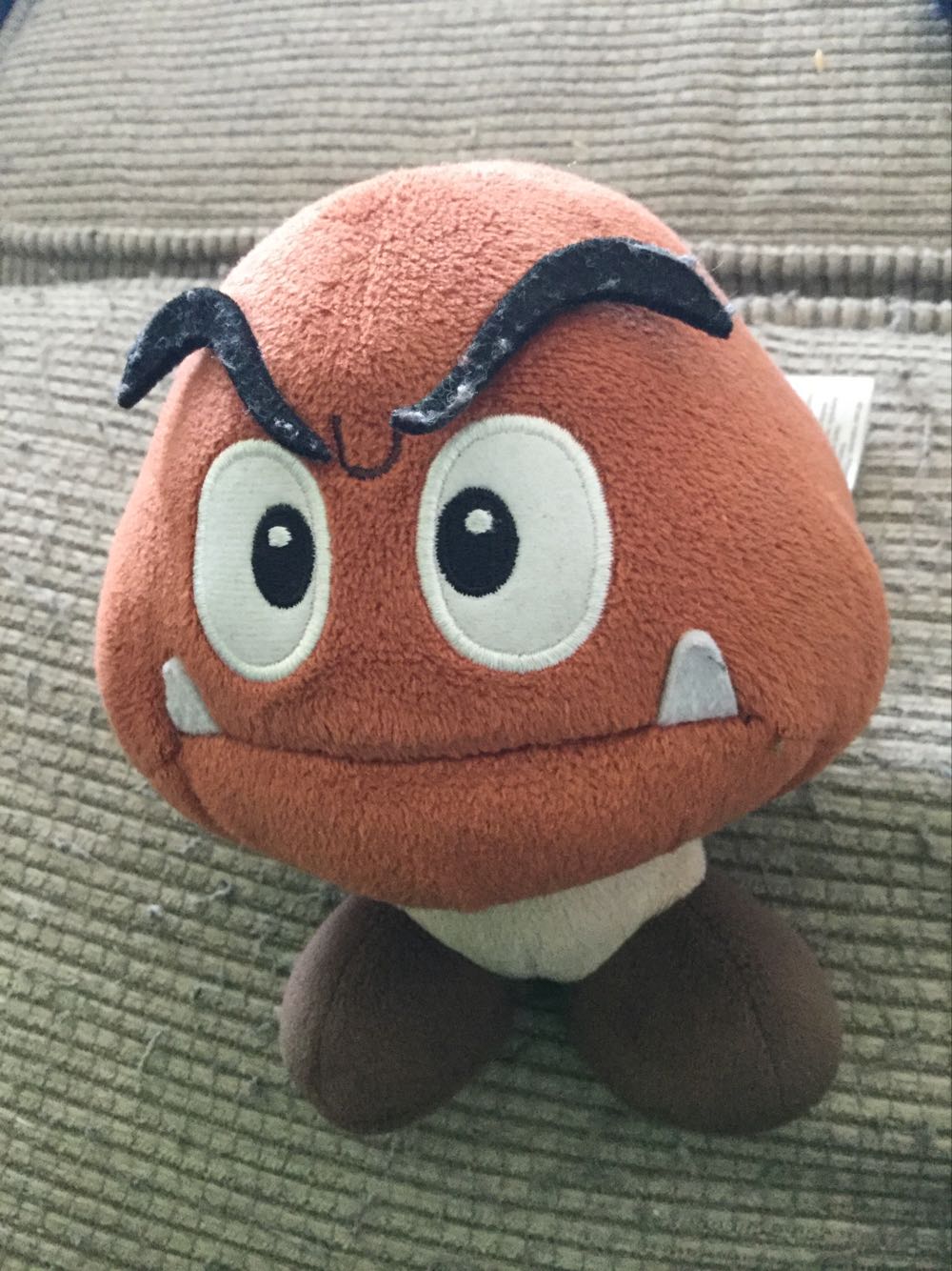 James the Fox - 13”