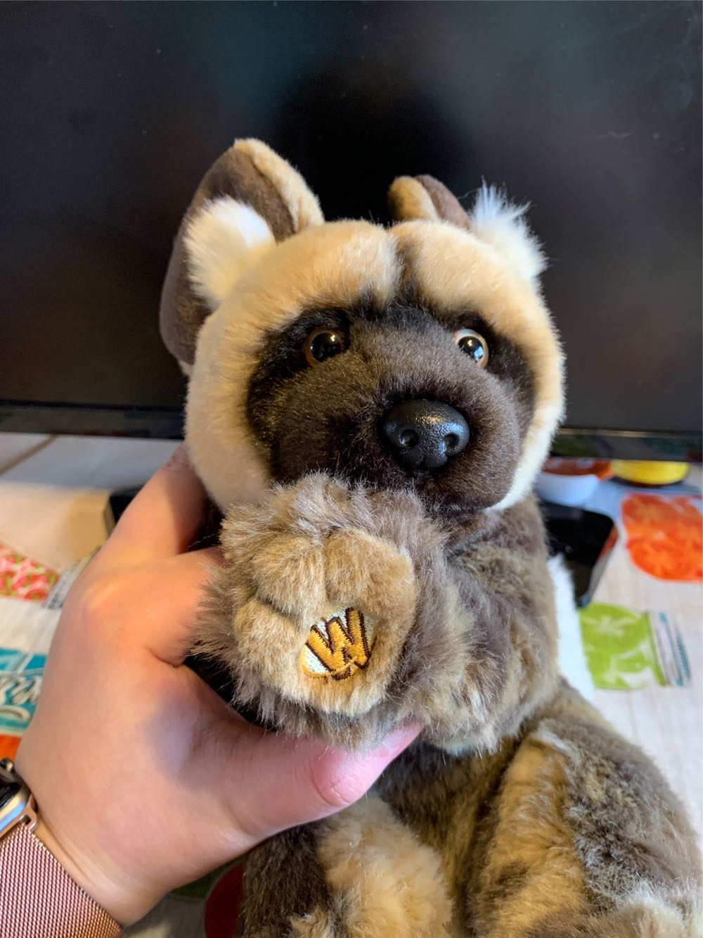 Webkinz Signature African Wild Dog  plush collectible - Main Image 2