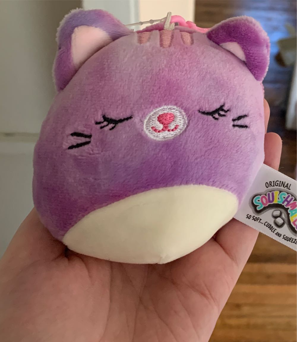 Francis 8” Squishmallow