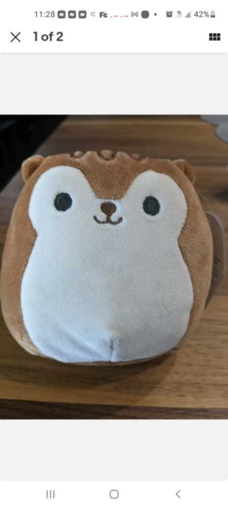 Holly, T87-8NB0-DrbF