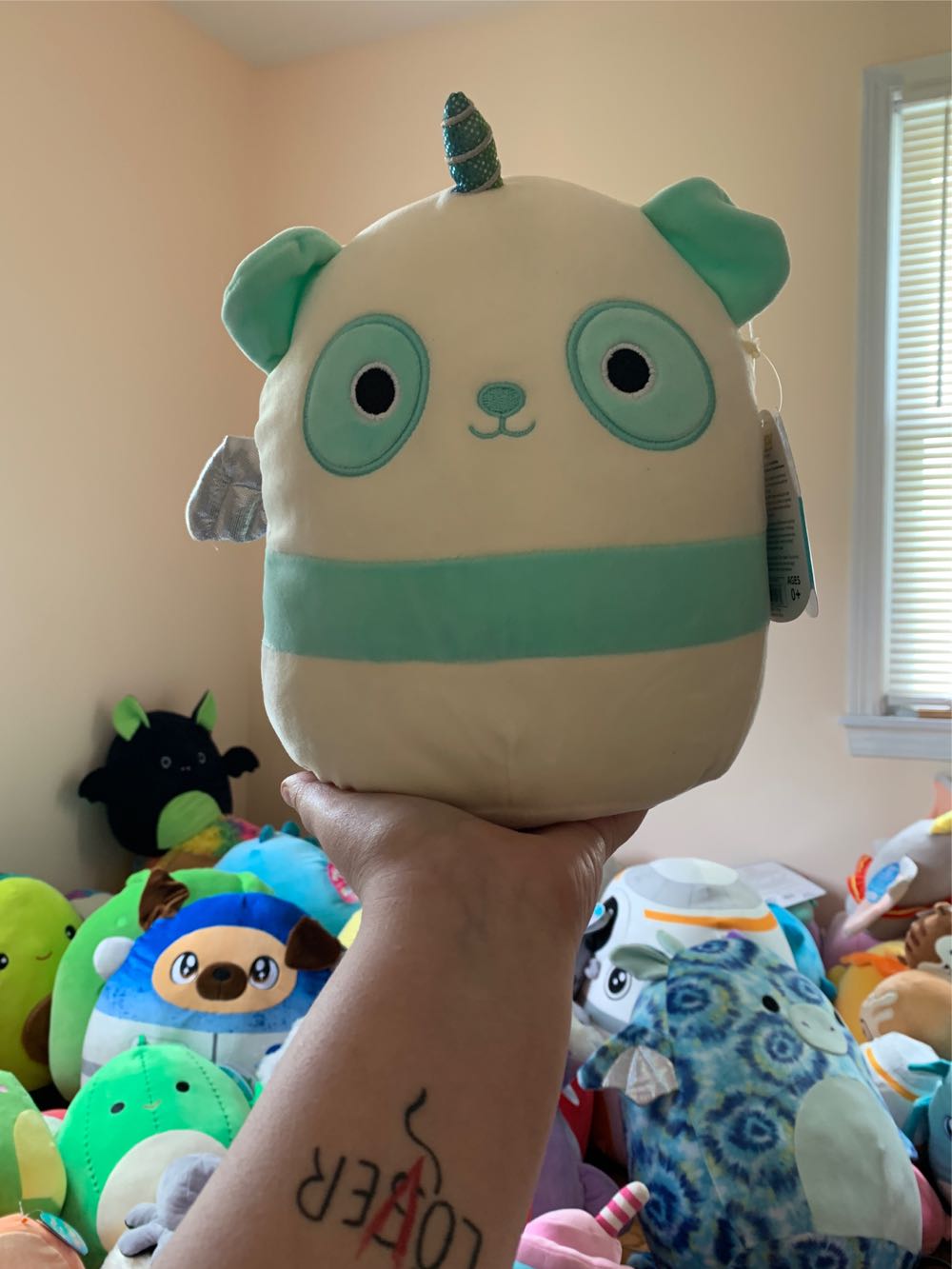 Gordon The Shark 12” Squishmallow