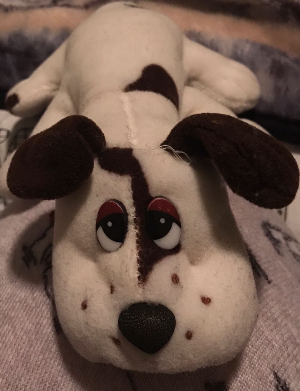 Ty Rocky (Paw Patrol series)