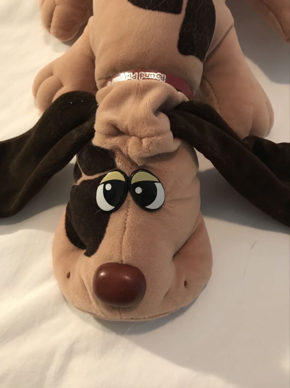 Little One ”White Lizard”