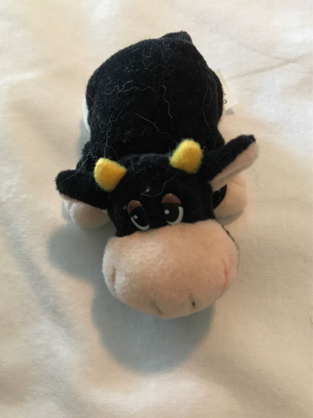 Clara 5” Squishmallow