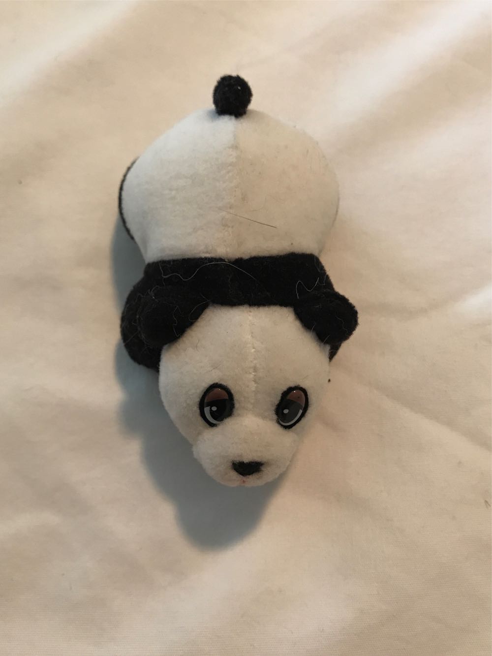 Kimberly Lynn Februarybunny