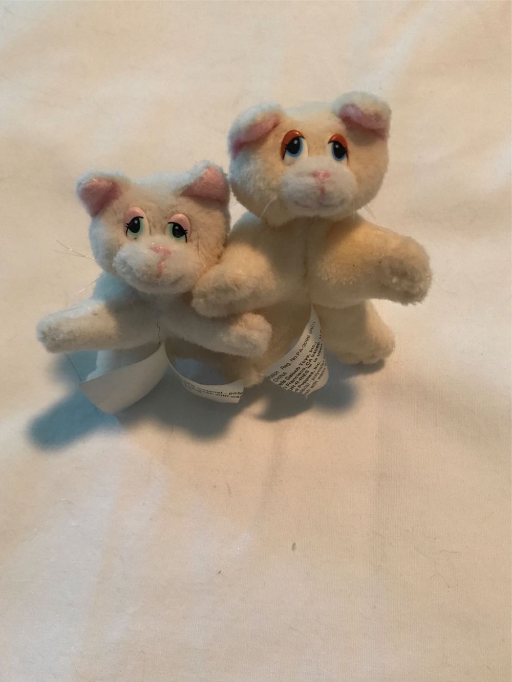 Teddy Bear In A Purple Spider Halloween Costume