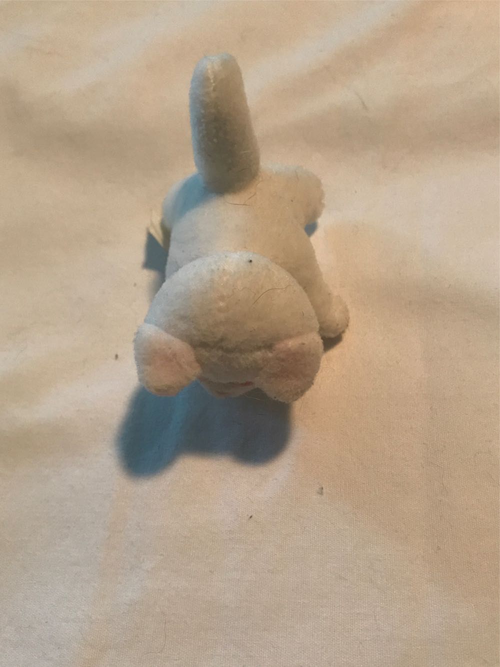 Image 20249