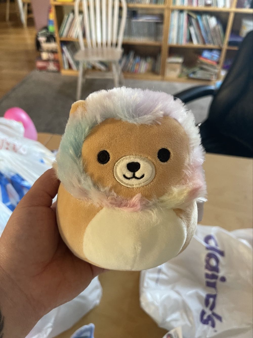 Holly, T87-8NB0-DrbF