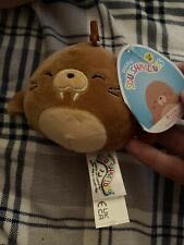 Ty Rubble (Paw Patrol series)