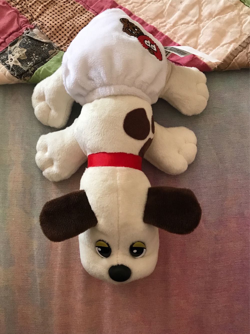 Archie/Reina 12’ Flip