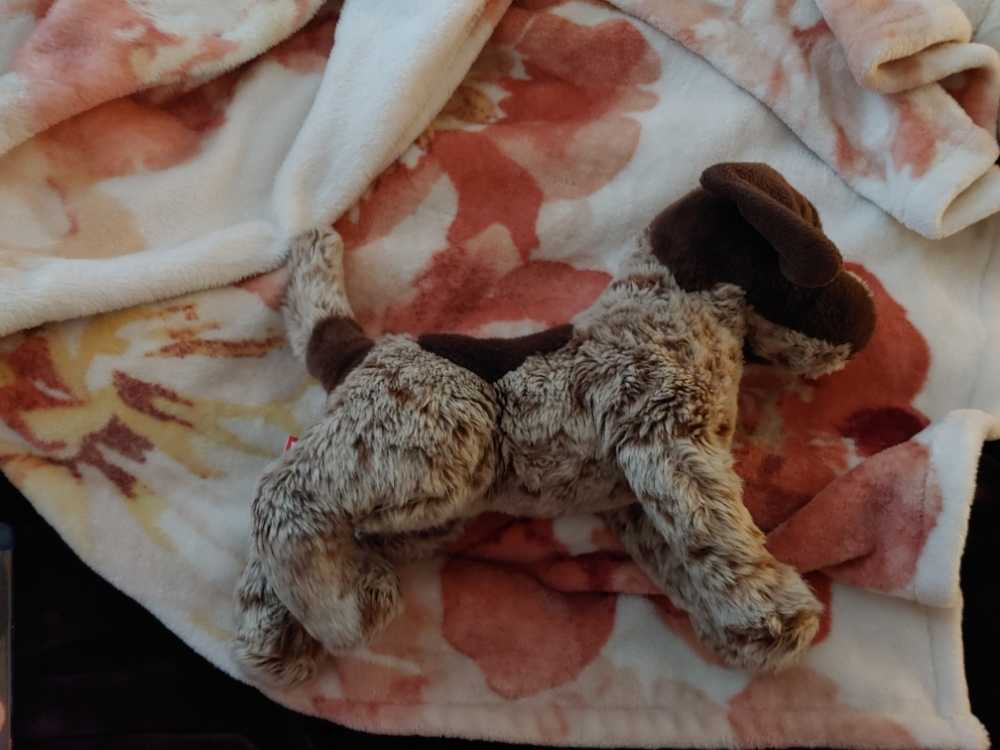 Douglas Wolfgang Pointer  plush collectible - Main Image 3