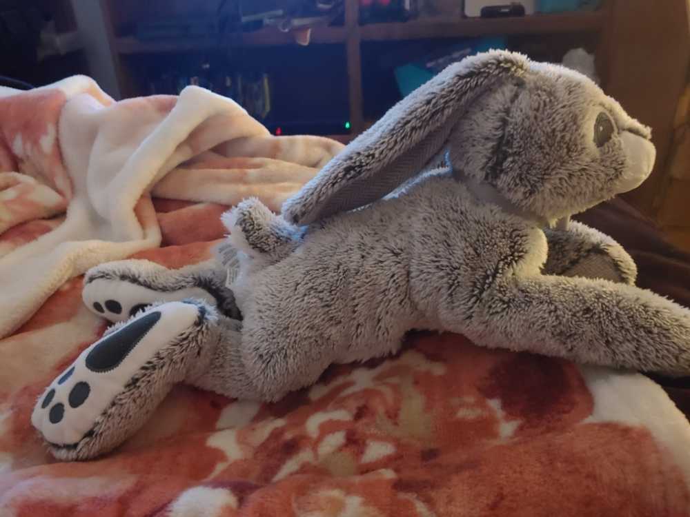 Pier 1 Imports Bunny  plush collectible - Main Image 2
