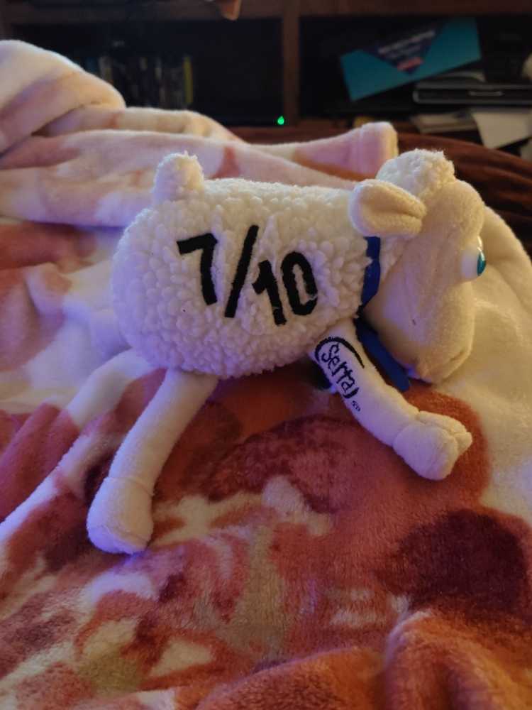 Serta 7/10 Sheep  plush collectible - Main Image 2