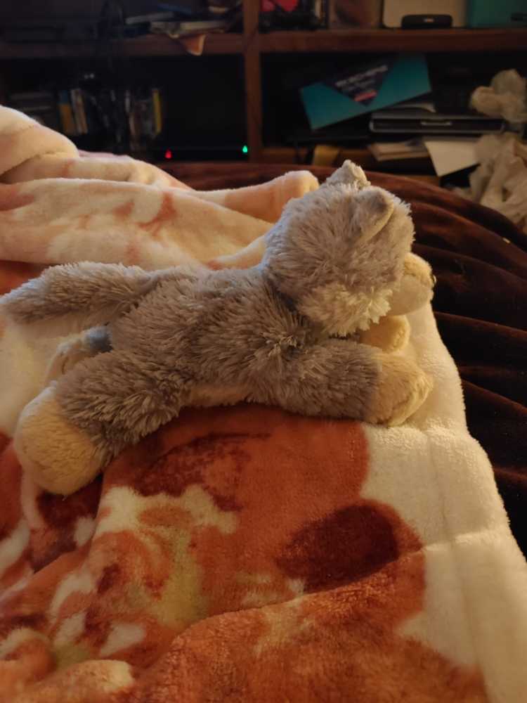 Aurora Wolf  plush collectible - Main Image 2