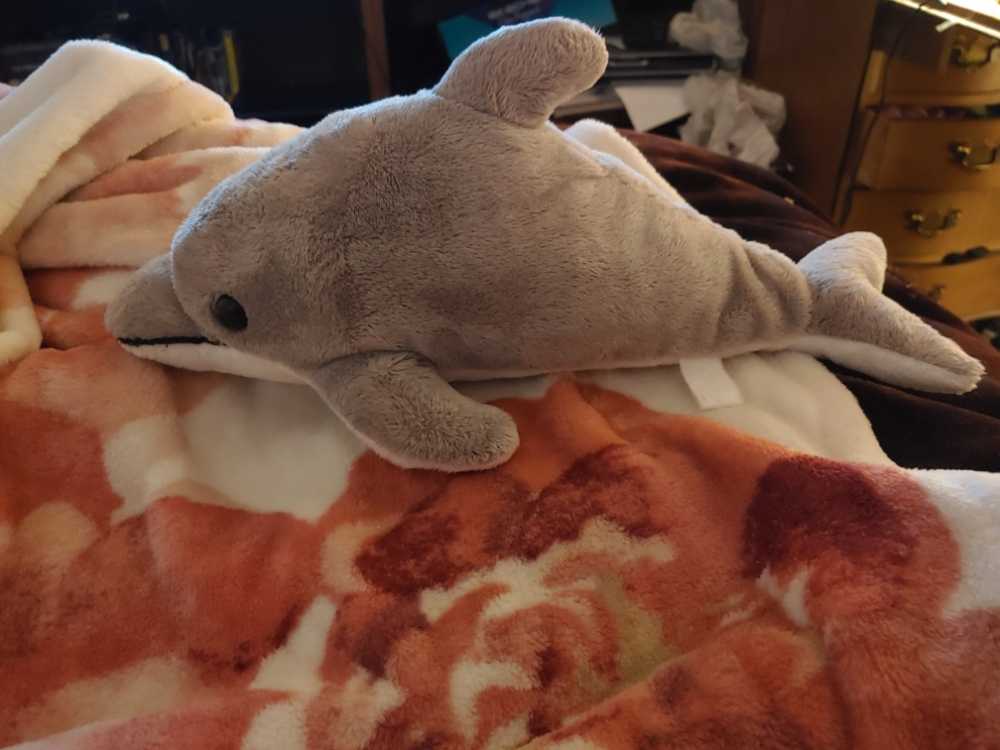Dolphin  plush collectible - Main Image 1