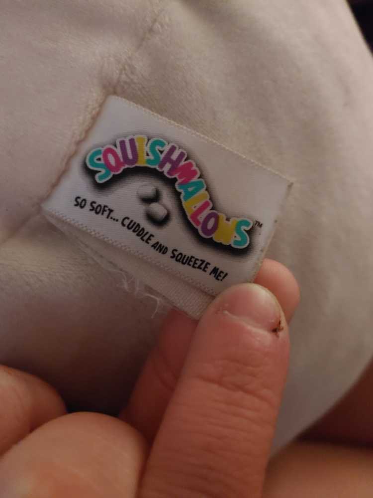 Squishmallow Cameron Cat  plush collectible - Main Image 2