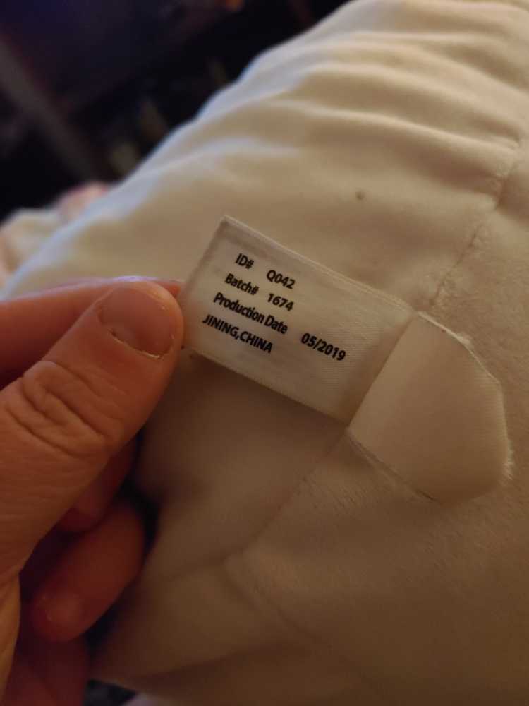 Squishmallow Cameron Cat  plush collectible - Main Image 4