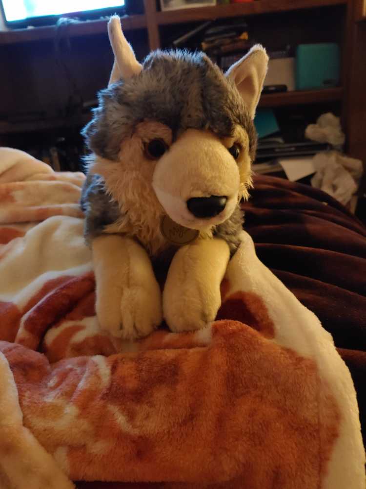 Miyoni Wolf  plush collectible - Main Image 1