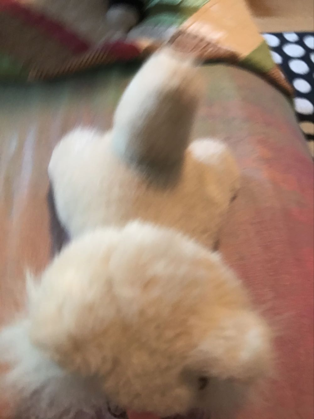 H86-7NBF1-GW  (United Kingdom) plush collectible - Main Image 2