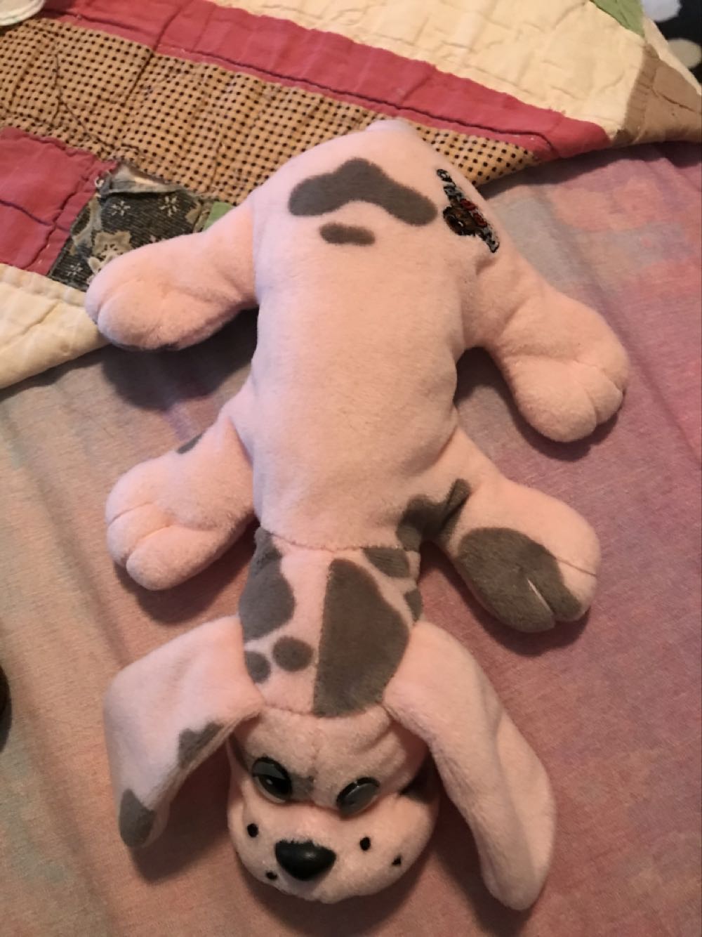 Squishmallow Charlie